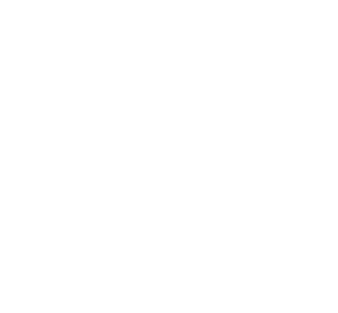 JadeHawk Capital